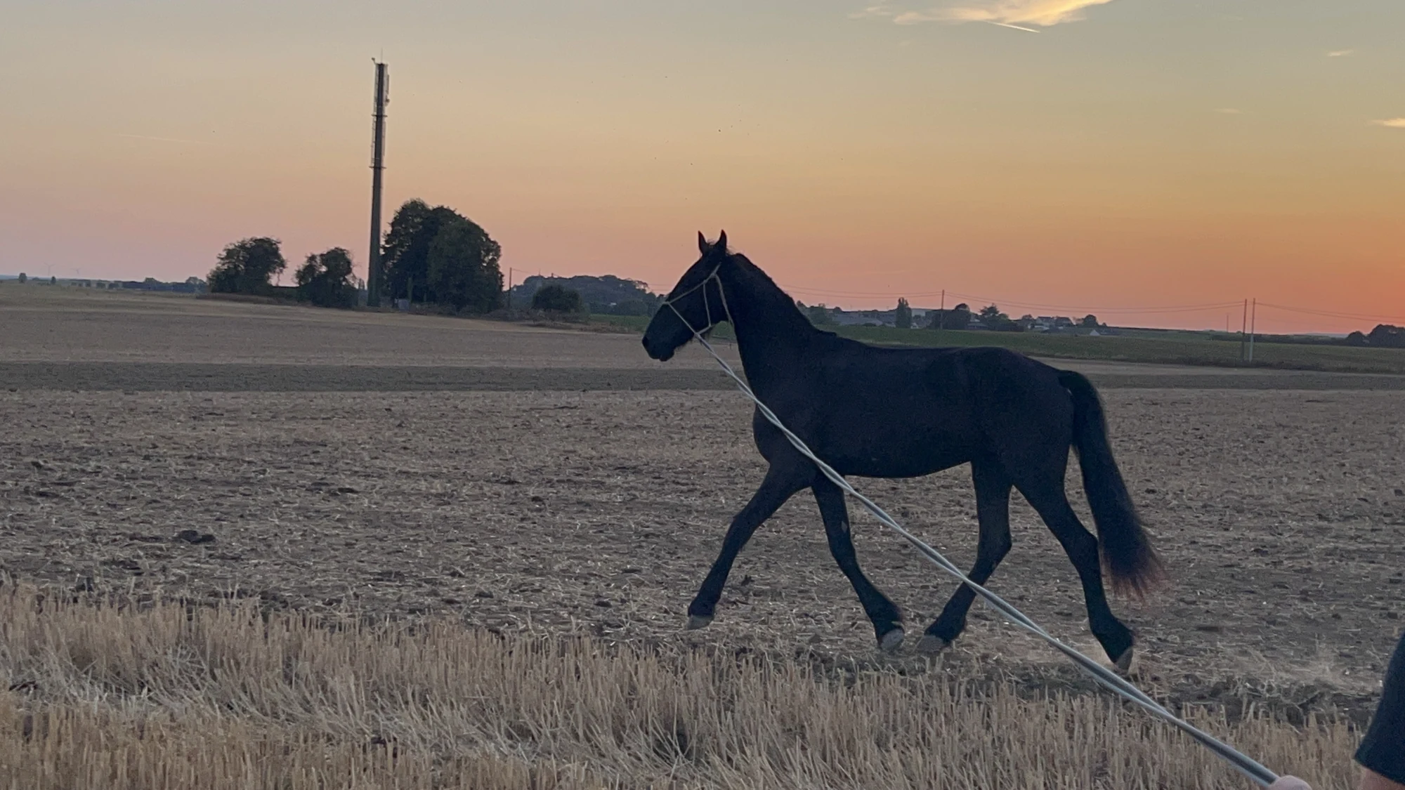 Onoranze à la lumière du soir