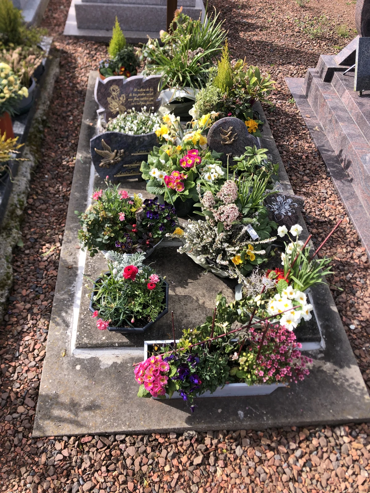 Les fleurs et plaques réunies sur la sépulture